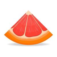 Fresh bright exotic cut slice grapefruit isolated on white background. Summer fruits for healthy lifestyle. Organic fruit. Cartoon style. Vector illustration for any design.