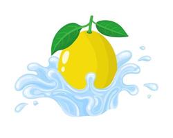 Yellow fresh lemon with water splash isolated on white background. Sweet food. Organic fruit. Vector illustration for any design.