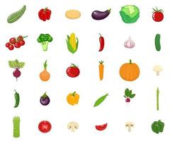 conjunto de verduras aislado sobre fondo blanco. comida saludable orgánica vegetariana. vector. vector
