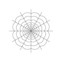 Round whole spider web isolated on white background. Halloween spiderweb element. Cobweb line style. Vector illustration for any design.