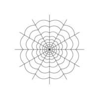 Round whole spider web isolated on white background. Halloween spiderweb element. Cobweb line style. Vector illustration for any design.