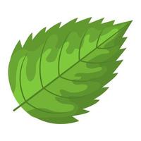 Rasberry green leaf isolated on white background. Cartoon style. Vector illustration for any design.