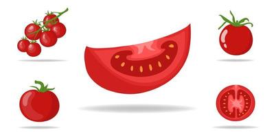 Set of Fresh Red Tomatoes isolated on white background. Branch, Whole, Half and Slice Tomato Icons for Market, Recipe Design. Organic Food. Cartoon Style. Vector illustration for Design, Web.