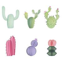 Set of different colorful realistic cactuses. Vector illustration isolated on white background.