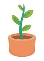 houseplant in pot vector