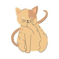 cat isolated icon vector