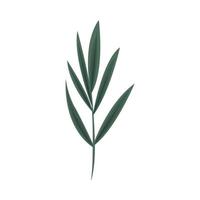 foliage nature icon vector