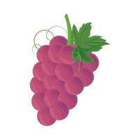 icono de fruta de uva vector