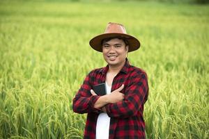 un agricultor en un campo de trigo maduro planea una actividad de cosecha, un agrónomo masculino es feliz en un campo de arroz. foto