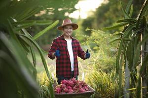 agricultores asiáticos sonrientes en plantaciones de frutas de dragón, agricultores recogiendo productos