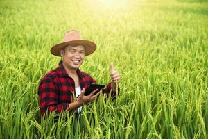A farmer in a ripe wheat field plans a harvest activity, a male agronomist is happy in a rice field. photo