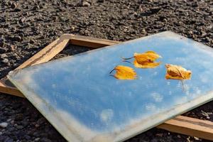 Autumn leaves lying on glass from a picture photo