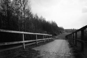 walkway in nature in black and white photo