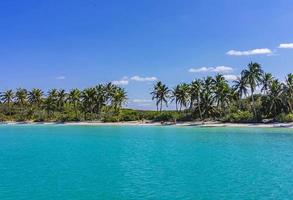 Beautiful tropical natural beach and forest panorama Contoy island Mexico.