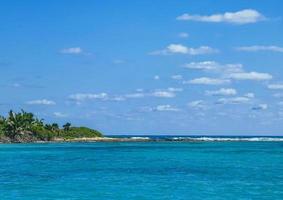 hermosa playa natural tropical y bosque panorama isla contoy mexico.