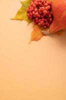 Autumn composition. Dried leaves, pumpkins and rowan berries on orange background. Autumn, fall, thanksgiving day concept. Flat lay, top view, copy space vertical high quality photo