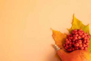 composición de otoño. hojas secas, calabazas y bayas de serbal sobre fondo naranja. otoño, otoño, concepto de día de acción de gracias. endecha plana, vista superior, espacio de copia foto