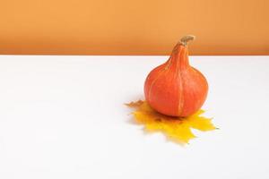 Autumn composition. Pumpkin on fall muple leave on white orange background. Autumn fall and thanksgiving day concept. Minimalistic still life photo