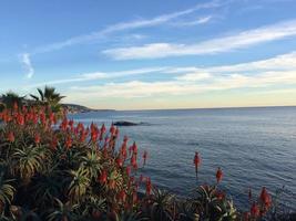 ocean view  in the evening photo