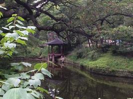 vista al parque en corea foto