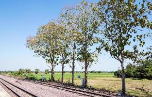 The Teak row photo