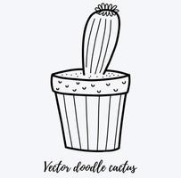 Vector doodle cactus illustration. Black line art house plant in a pot. Great for different kind of designs and backgrounds