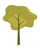 tree nature plant vector