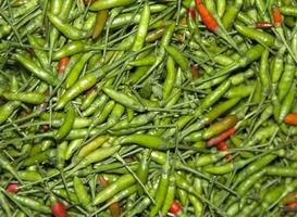 bird-peppe - Small chili pepper is a very spicy chili, it is very popular in Thailand who like to eat spicy as a spice - seasoning - for trading in agricultural markets - on bamboo baskets. photo