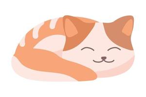 cute sleep cat vector