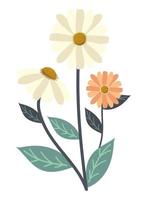 flowers stem nature vector