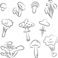 Set of autumn mushrooms doodles style hand drawn black color for design. vector