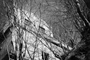 ruin in the forest in black and white photo
