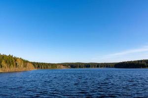 forest with lake landscape photo