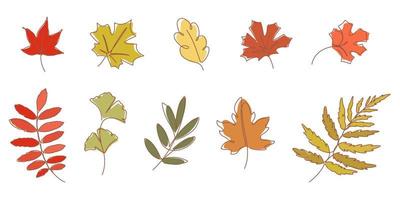 Continuous line drawing of autumn leaves vector illustration