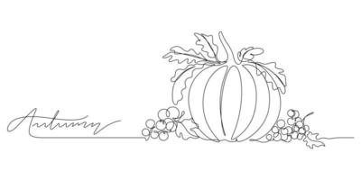 pumpkin and berry decorative still life vector illustration