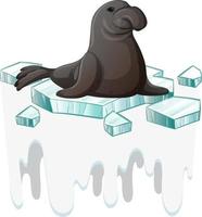 Seal on ice isolated vector
