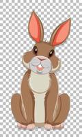 Cute rabbit on grid background vector