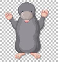 A mole cartoon on grid background vector