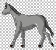 caballo gris sobre fondo de cuadrícula vector