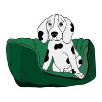 el cachorro dálmata está sentado en el sofá de su casa. concepto de hotel que admite mascotas. estilo garabato. vector. bosquejo. el cachorro está acostado en la almohada. Productos para mascotas. barquitectura vector