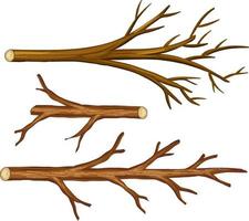 Set of different tree branches isolated vector