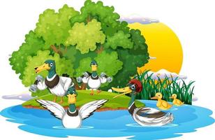 grupo de patos felices en la escena de la naturaleza vector