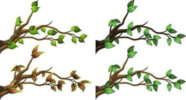 conjunto de diferentes ramas de árboles aisladas vector