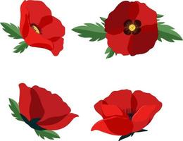 Set of poppy flowers on white background vector