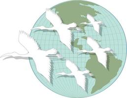 Heron birds with globe vector