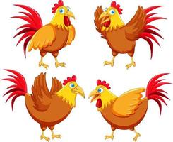 Chicken cartoon characters set vector