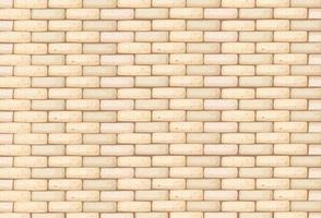 Bricks wall background texture vector