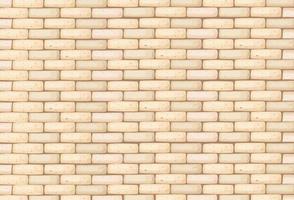 Bricks wall background texture vector