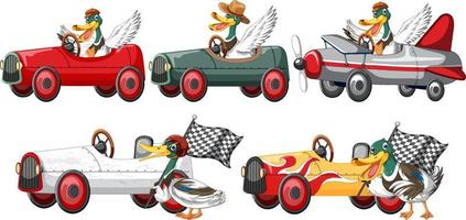 Soapbox derby race concept with ducks vector