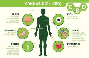 diagrama de beneficios de cbd para la salud física vector